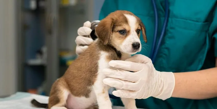 Imagen cabecera post