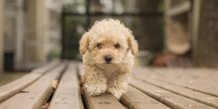 Imagen cabecera post