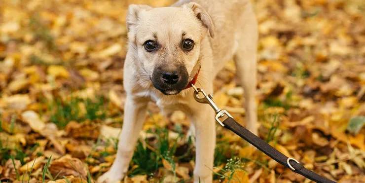 Imagen cabecera post