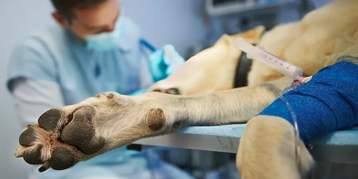 Imagen cabecera post