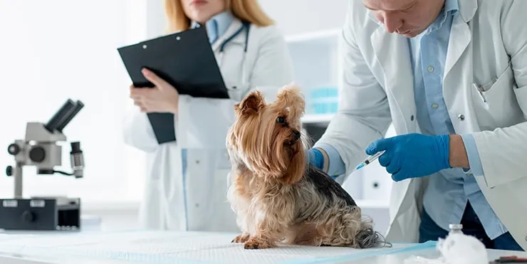 Imagen cabecera post