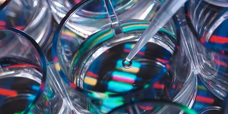 Imagen cabecera post