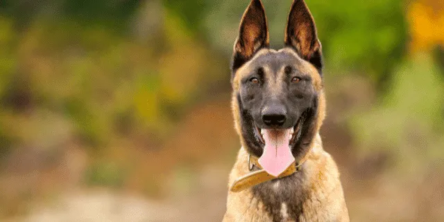 Imagen cabecera post