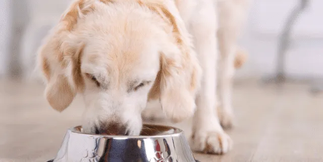 Imagen cabecera post