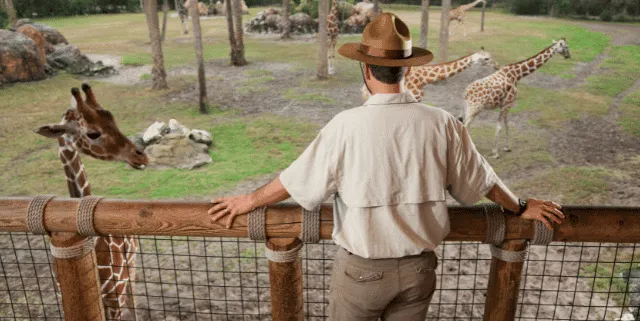 Imagen cabecera post