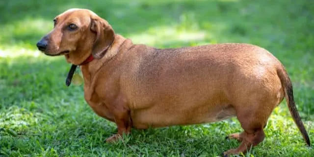 Imagen cabecera post