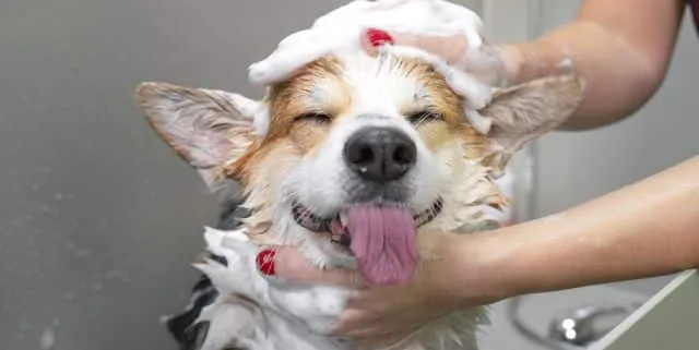 Imagen cabecera post