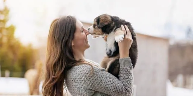 Imagen cabecera post