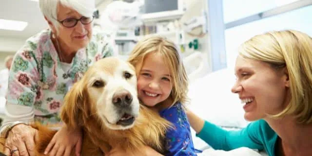 Imagen cabecera post