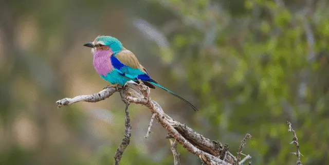 Imagen cabecera post