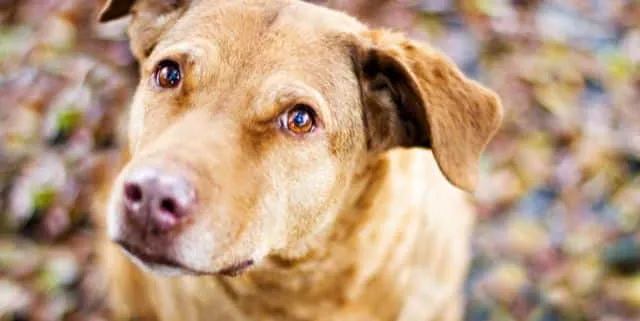 Imagen cabecera post