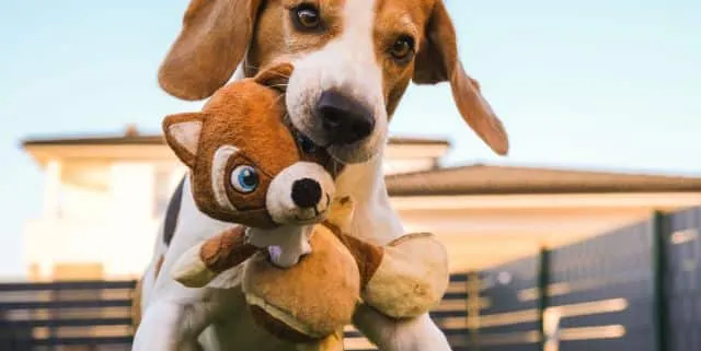 Imagen cabecera post