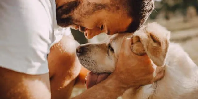 Imagen cabecera post