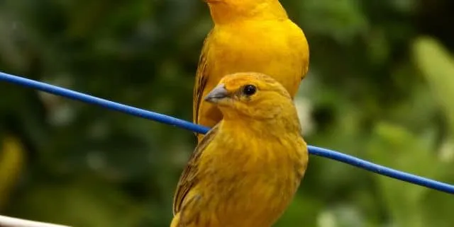 Imagen cabecera post