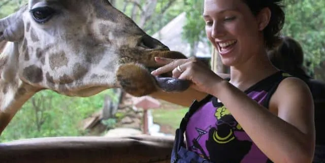 Imagen cabecera post