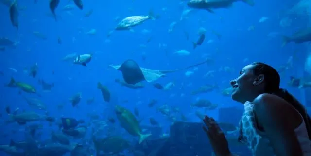 Imagen cabecera post