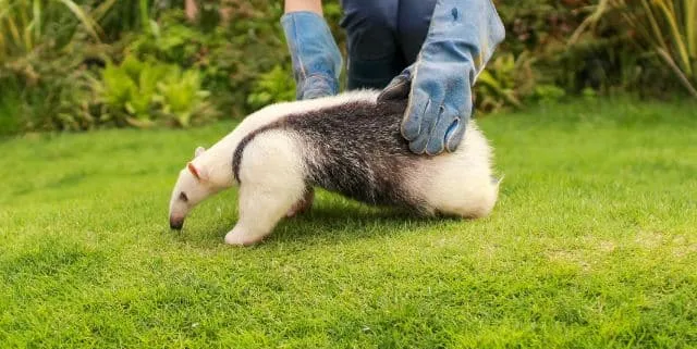 Imagen cabecera post