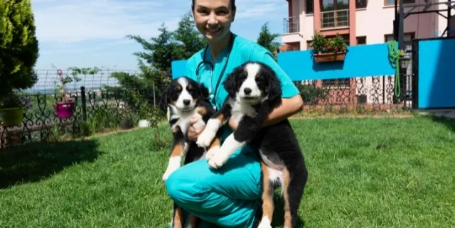 Imagen cabecera post