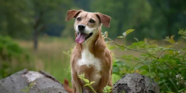 Imagen cabecera post