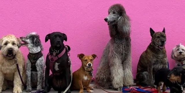 Imagen cabecera post