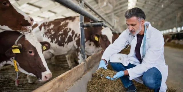 Imagen cabecera post