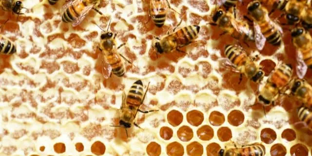 Imagen cabecera post