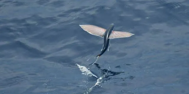 Imagen cabecera post