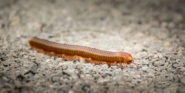 Imagen cabecera post