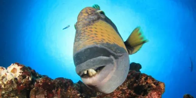 Imagen cabecera post