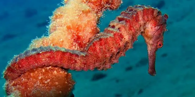 Imagen cabecera post