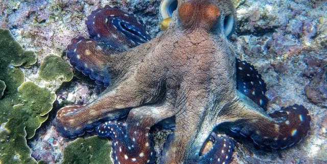 Imagen cabecera post