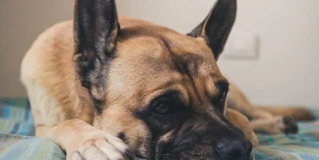 Imagen cabecera post