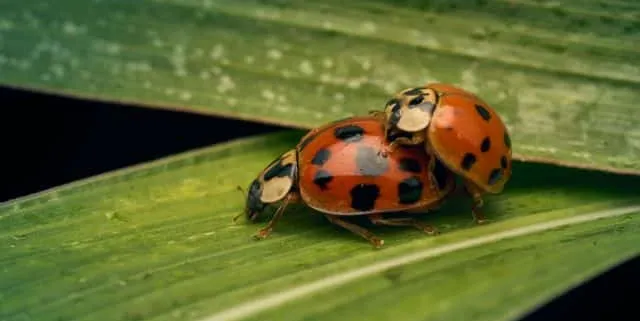 Imagen cabecera post