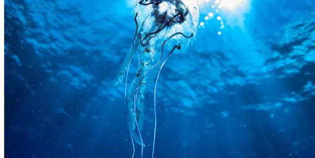 Imagen cabecera post