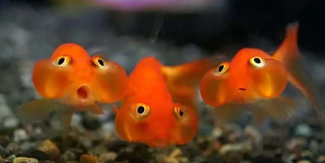 Imagen cabecera post