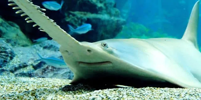 Imagen cabecera post