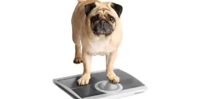 Imagen cabecera post