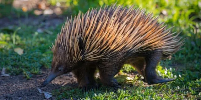 Imagen cabecera post