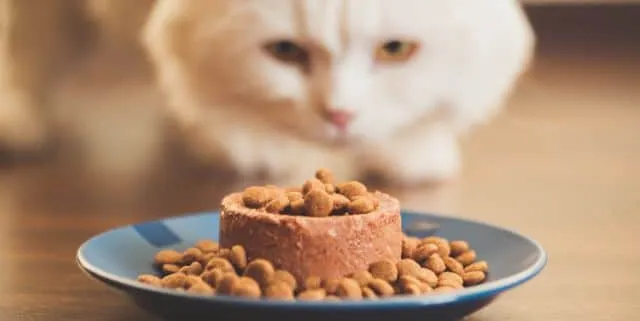 Imagen cabecera post