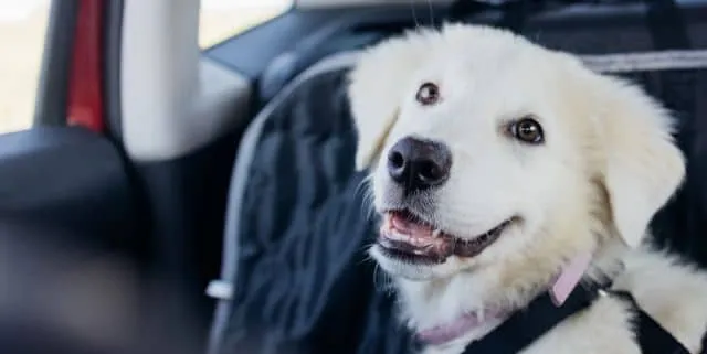 Imagen cabecera post