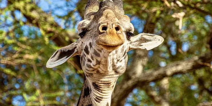 Imagen cabecera post