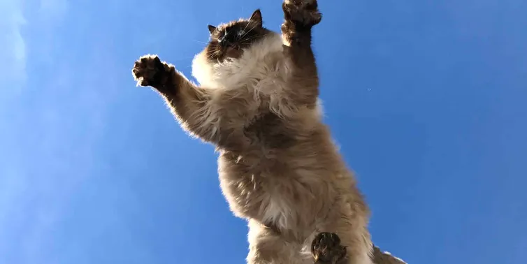 Imagen cabecera post