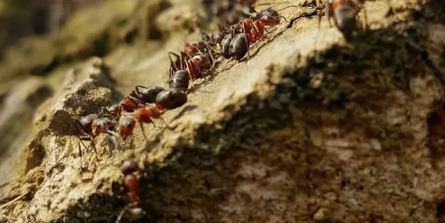 Imagen cabecera post