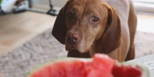 Imagen cabecera post