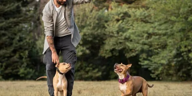 Imagen cabecera post