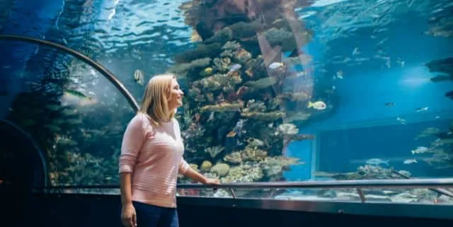 Imagen cabecera post