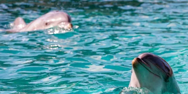 Imagen cabecera post