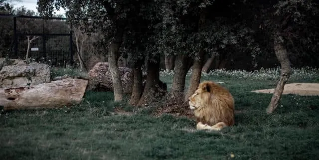 Imagen cabecera post