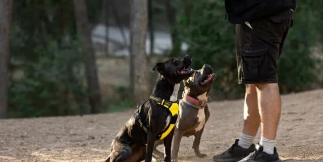 Imagen cabecera post