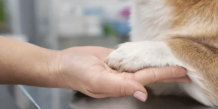 Imagen cabecera post